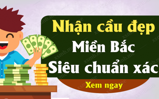 dự đoán cầu 8 con lô mb siêu vip